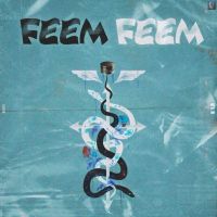 Feem Feem Sardar Khehra MP3 Song, Feem Feem Album