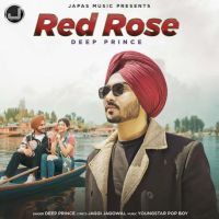 Red Rose Deep Prince MP3 Song, Red Rose Album