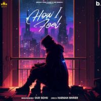 How I Feel Gur Sidhu MP3 Song, How I Feel Album