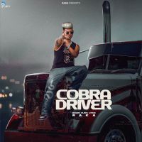 Cobra Driver Raka MP3 Song, Cobra Driver Album