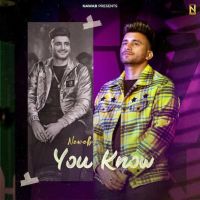 You Know Nawab MP3 Song, You Know Album