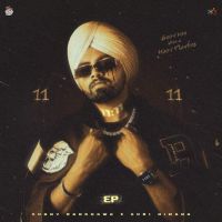 Y. Know Sunny Randhawa MP3 Song, 11 11 - EP Album