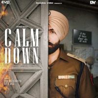 Calm Down Barinder Dhapai, Ritu Jass MP3 Song, Calm Down Album