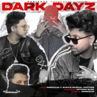 Dark Dayz Sukh E Musical Doctorz, Pardhaan MP3 Song, Dark Dayz Album