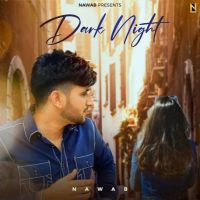 DARK NIGHT Nawab MP3 Song, DARK NIGHT Album