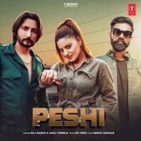 Peshi Raj Mawar, Ashu Twinkle MP3 Song, Peshi Album