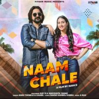 Naam Chale Ashu Twinkle MP3 Song, Naam Chale Album
