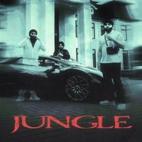 Jungle Inderpal Moga, Chani Nattan MP3 Song, Jungle Album