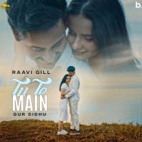 Tu Te Main Raavi Gill MP3 Song, Tu Te Main Album