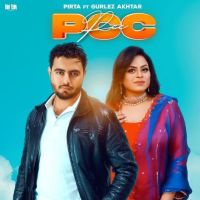 PCC Pirta, Gurlez Akhtar MP3 Song, PCC Album