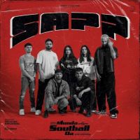 Sapp Watan Sahi MP3 Song, Sapp Album
