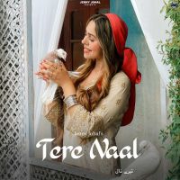 Tere Naal Jenny Johal MP3 Song, Tere Naal Album