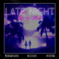 Late Night Lover Mehar Vaani, Sultaan MP3 Song, Late Night Lover Album