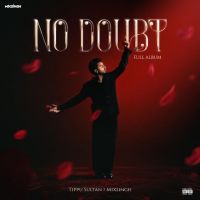 Download No Doubt Tippu Sultan full mp3 album