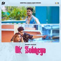 Ok Sohneya Sharry Hassan MP3 Song, Ok Sohneya Album