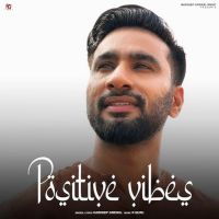 Raza Hardeep Grewal MP3 Song, Positive Vibes - EP Album
