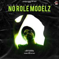 Intro Sunny Randhawa MP3 Song, No Role Modelz Album