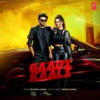 Gaadi Kaali Ruchika Jangid MP3 Song, Gaadi Kaali Album