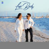 Love Birds Jimmy Kaler MP3 Song, Love Birds Album