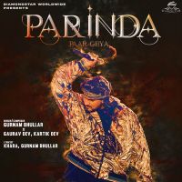 Parinda Paar Geya Gurnam Bhullar MP3 Song, Parinda Paar Geya Album