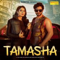 Tamasha Ashu Twinkle MP3 Song, Tamasha Album