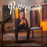 Pakhe Chalde Jass Bajwa MP3 Song, Pakhe Chalde Album