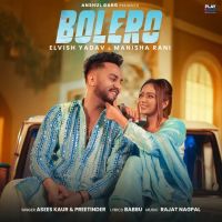 Bolero Preetinder, Asees Kaur MP3 Song, Bolero Album