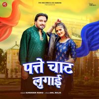 Patte Chaat Lugai Surender Romio MP3 Song, Patte Chaat Lugai Album
