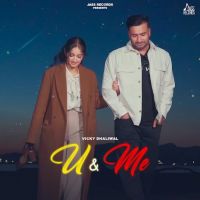 U & Me Vicky Dhaliwal MP3 Song, U,Me Album