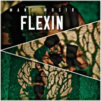 Flexin Manj Musik MP3 Song, Flexin Album