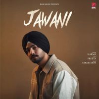 Jawani Karma MP3 Song, Jawani Album