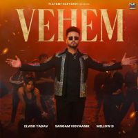 Vehem Sangam Vigyaanik, Mellow D MP3 Song, Vehem Album