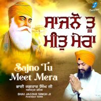 Download Sajno Tu Meet Mera Bhai Jagtar Singh Ji full mp3 album