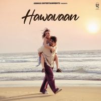 Hawavaan Arjun Joul MP3 Song, Hawavaan Album