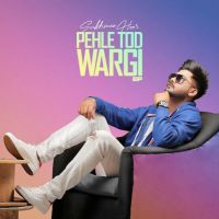 Download Pehle Tod Wargi By Sukhman Heer full mp3 album