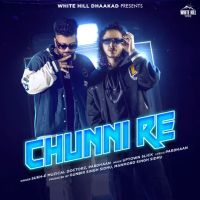 Chunni Re Sukh E Muzical Doctorz, Pardhaan MP3 Song, Chunni Re Album
