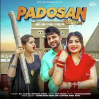 Padosan Raj Mawer, Ruchika Jangid MP3 Song, Padosan Album