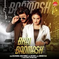 Bhai Badmash Raj Mawer, Ashu Twinkle MP3 Song, Bhai Badmash Album