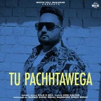 Tu Pachhtawega Gold E Gill MP3 Song, Tu Pachhtawega Album