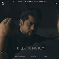 Theek Hai Na Tu Sarang Sikander MP3 Song, Theek Hai Na Tu Album