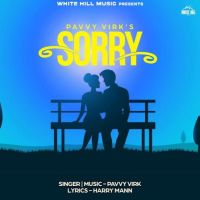 Sorry Pavvy Virk MP3 Song, Sorry Album