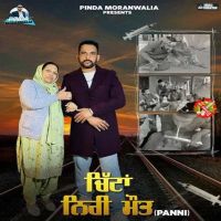 Chitta Niri Mot (Panni) Pinda Moranwalia MP3 Song, Chitta Niri Mot (Panni) Album