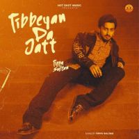 Tibbeyan Da Jatt Tippu Sultan MP3 Song, Tibbeyan Da Jatt Album