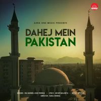 Dahej Mein Pakistan Raj Mawar, Ashu Twinkle MP3 Song, Dahej Mein Pakistan Album