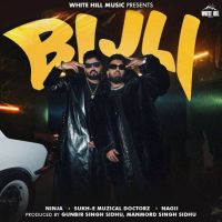 Bijli Ninja MP3 Song, Bijli Album