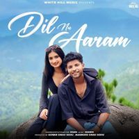 Dil Nu Aaram Jesan MP3 Song, Dil Nu Aaram Album