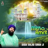 Mitha Amrit Baba Gulab Singh Ji MP3 Song, Mitha Amrit Album
