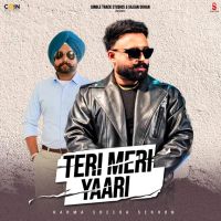 Teri Meri Yaari Karma MP3 Song, Teri Meri Yaari Album