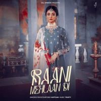 Raani Mehlaan Di Kaptaan MP3 Song, Raani Mehlaan Di Album