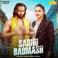 Sadhu Badmash Raj Mawar, Ashu Twinkle MP3 Song, Sadhu Badmash Album